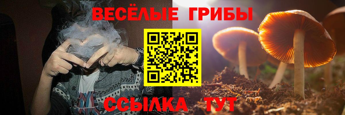 Галлюциногенные грибы GOLDEN TEACHER Калуга